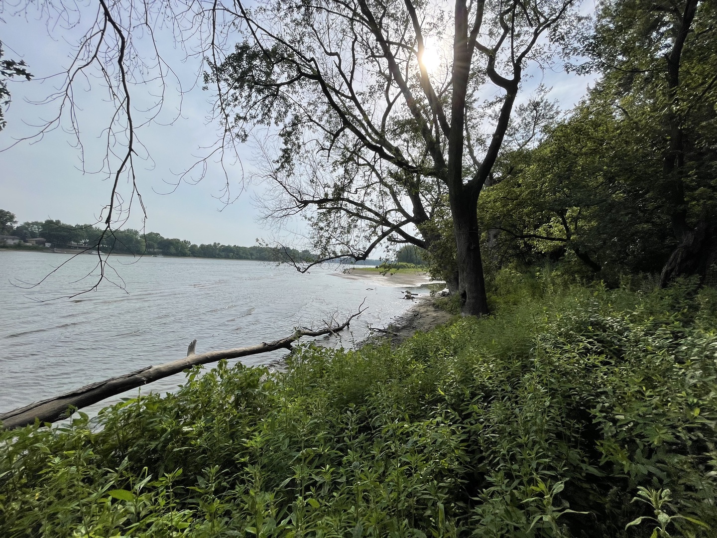 0 River Drive Byron, IL 61010 - Photo 32 of 33 a view of a lake from a yard
