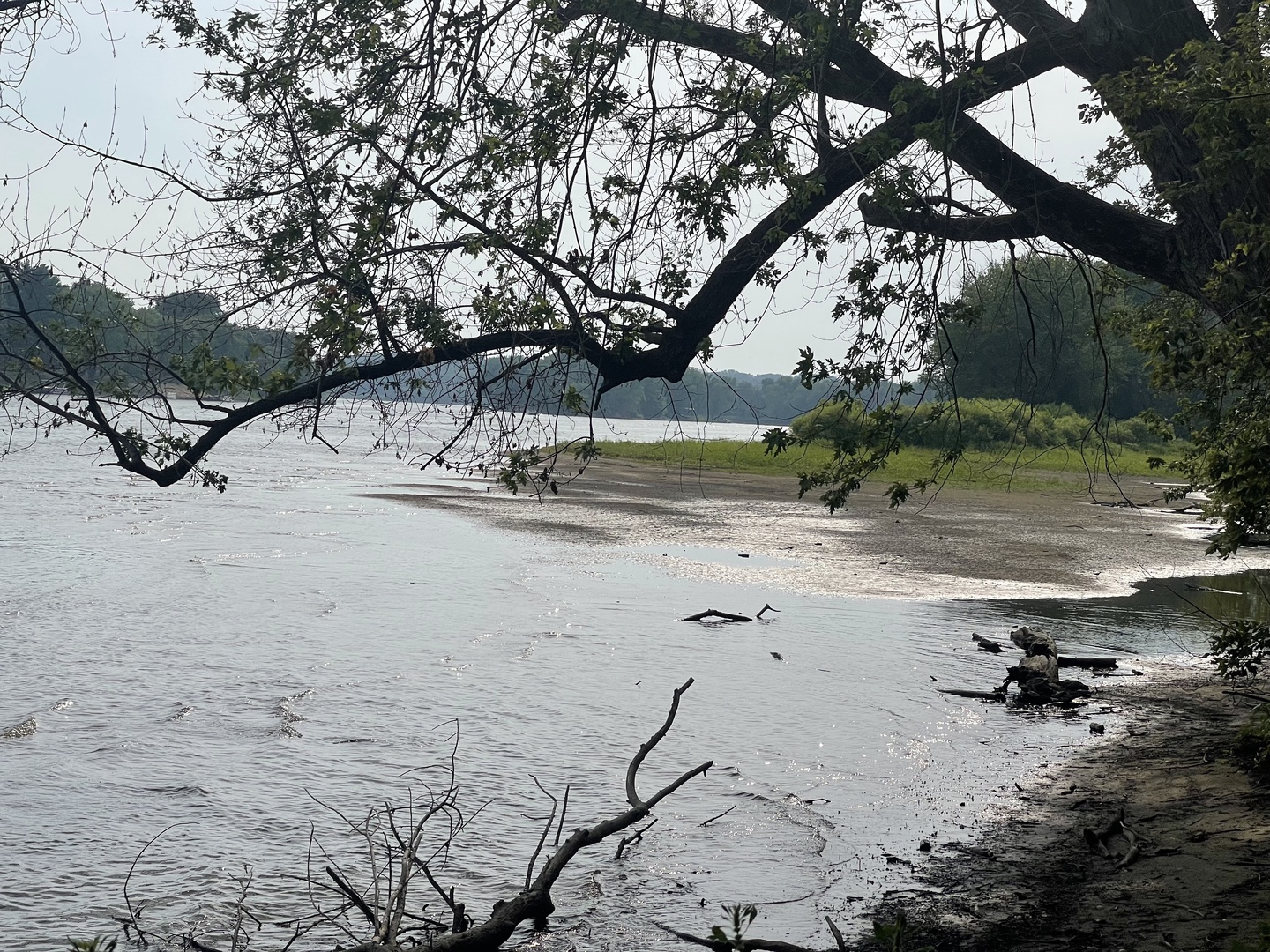 0 River Drive Byron, IL 61010 - Photo 7 of 33 a view of a yard with a tree