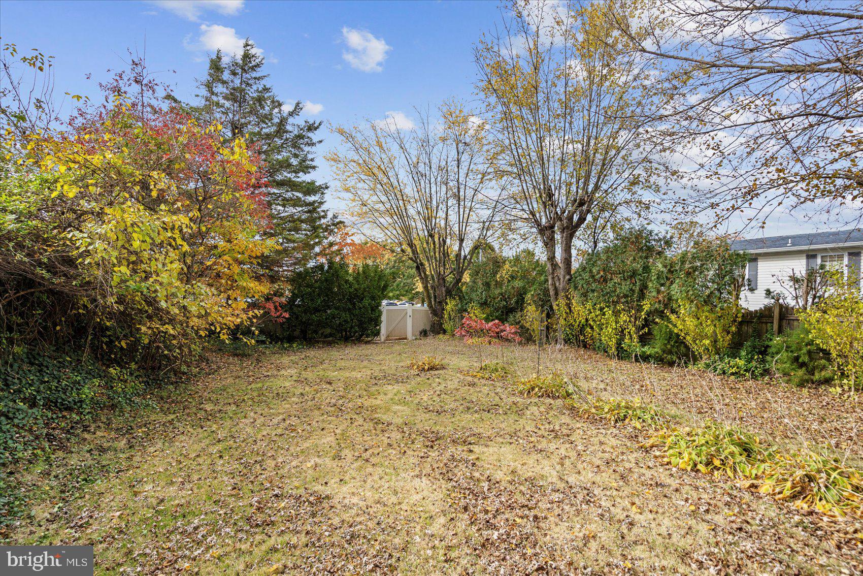 4003 Jacinth Way Baltimore, MD 21236 - Photo 4 of 43 a fire hydrant in middle of a field