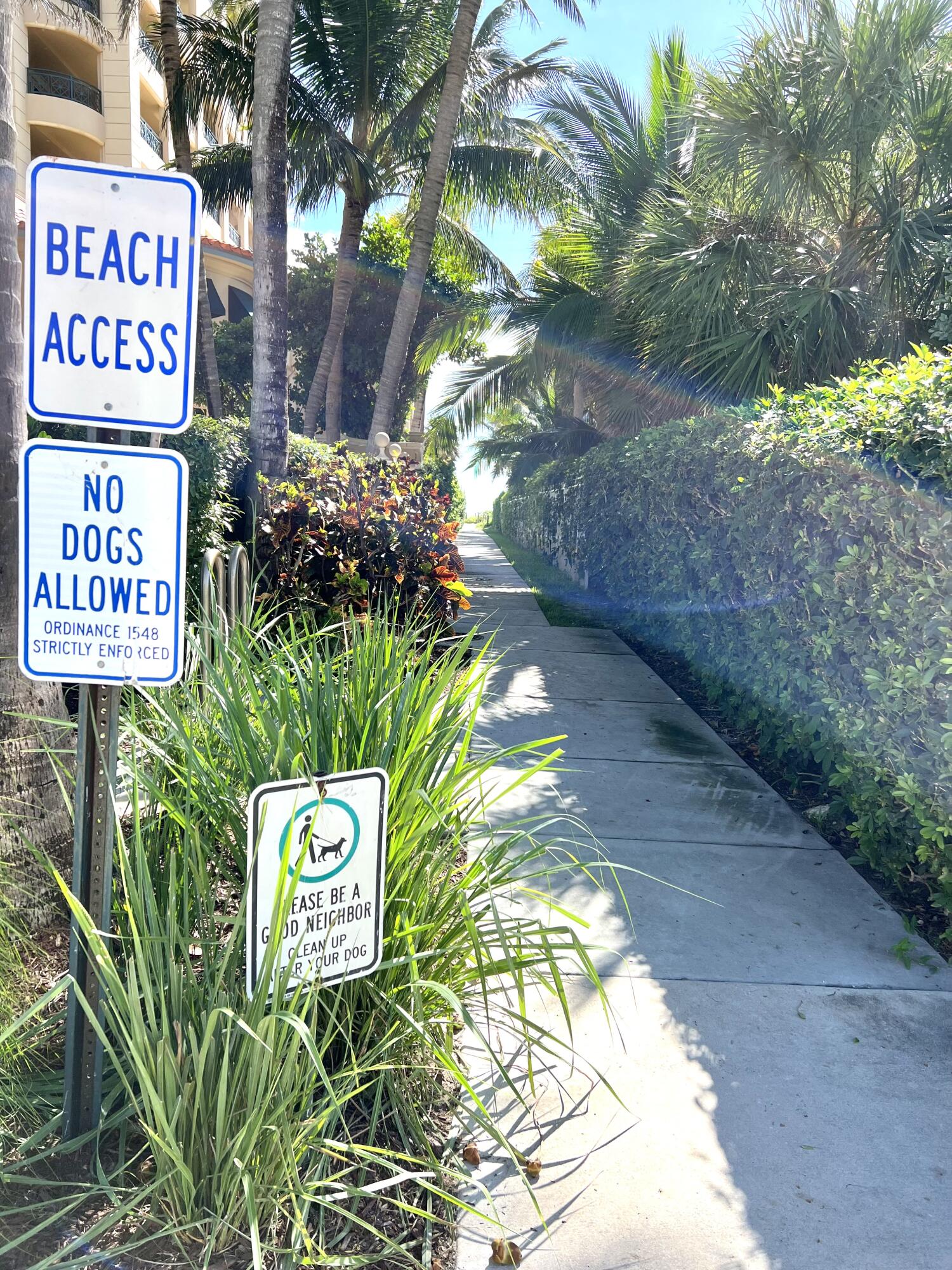 930 Osceola Drive, Unit 8 Boca Raton, FL 33432 - Photo 19 of 33 Paradise Awaits!