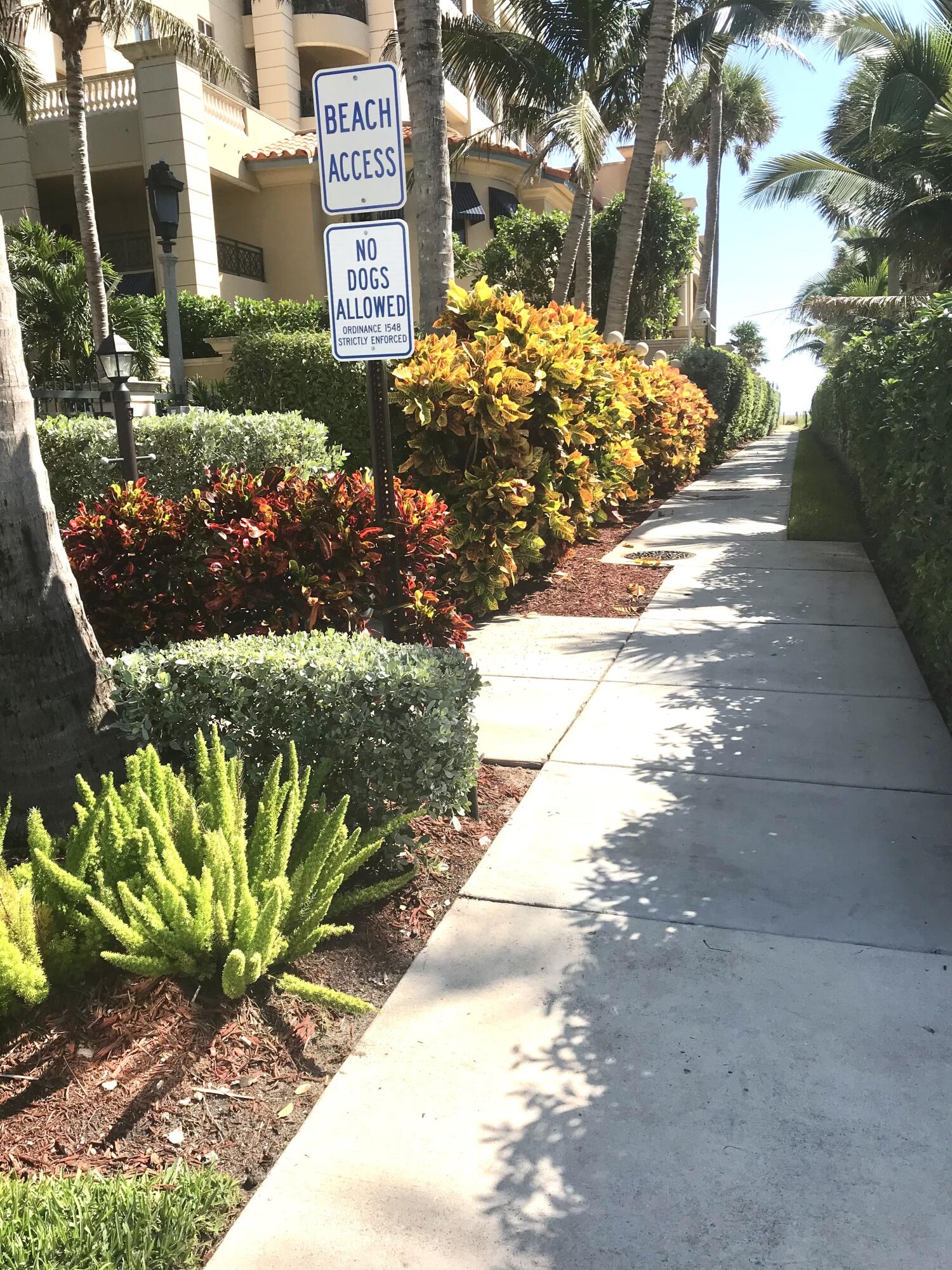 930 Osceola Drive, Unit 8 Boca Raton, FL 33432 - Photo 5 of 33 Exclusive Beach Access