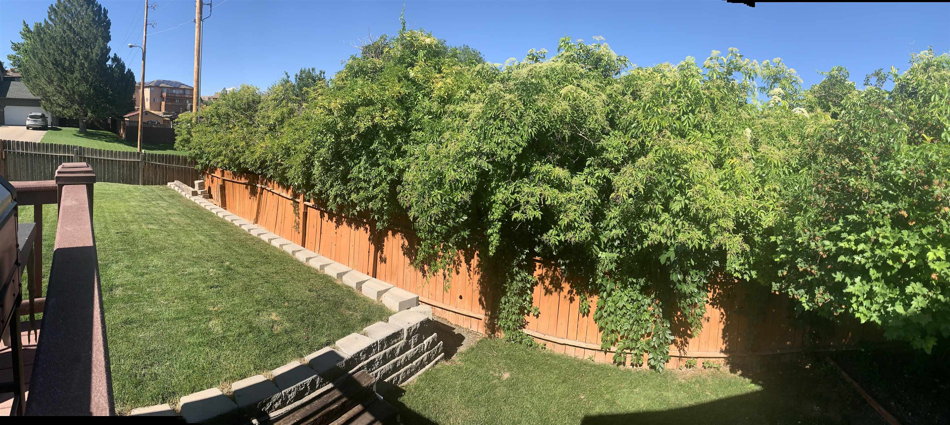 566 Rio Oso Lane Grand Junction, CO 81507 - Photo 11 of 34 Gallery Image 11