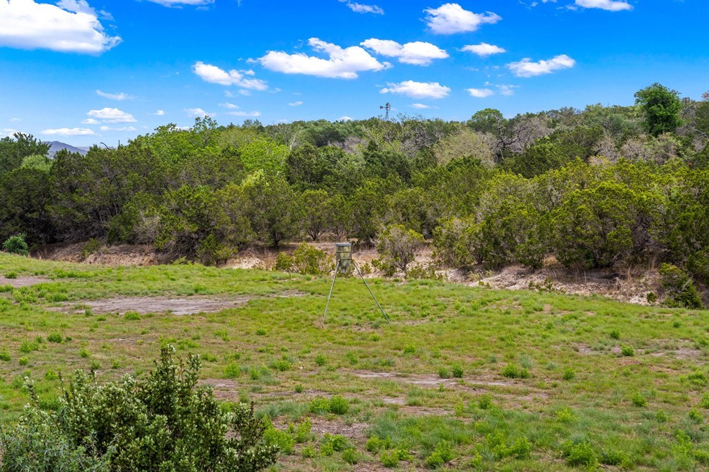 161 Balsly Road East Center Point, TX 78010 - Photo 27 of 28 a view of a golf course with green space
