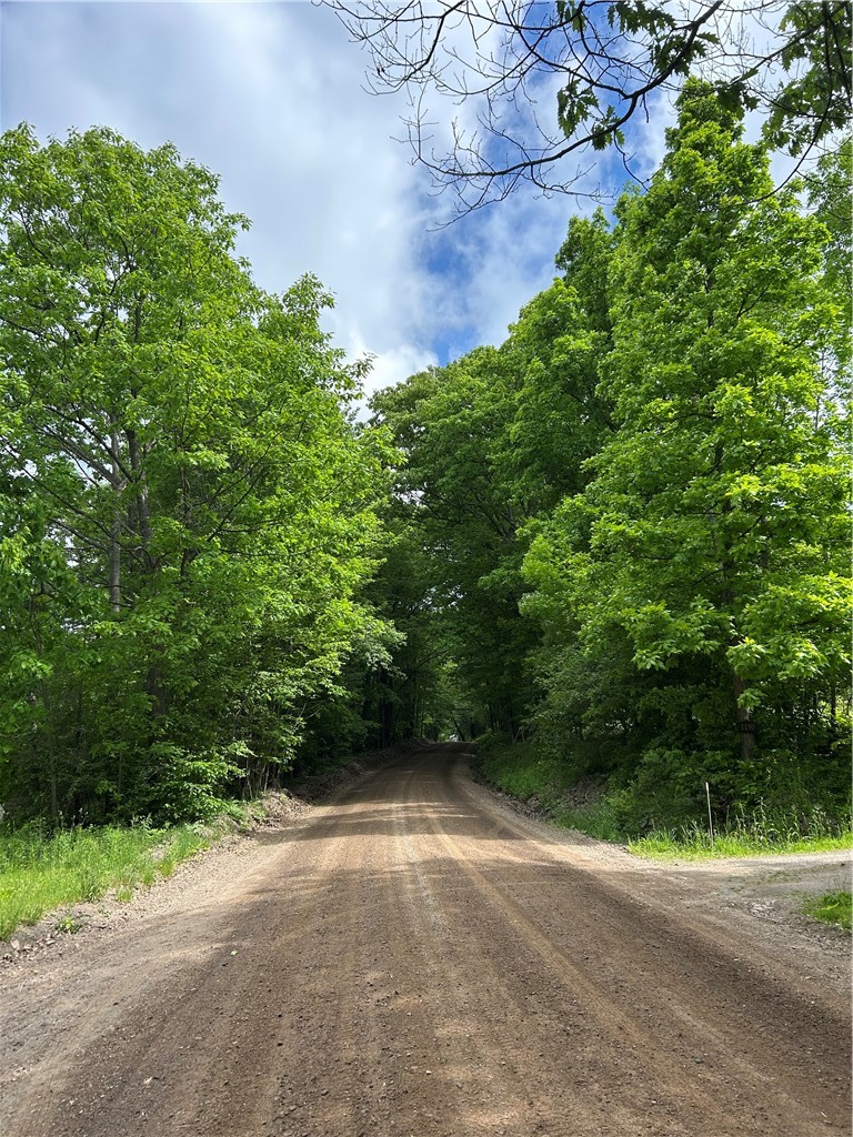 Grange Hall Road Oneonta, NY 13820 - Photo 15 of 15