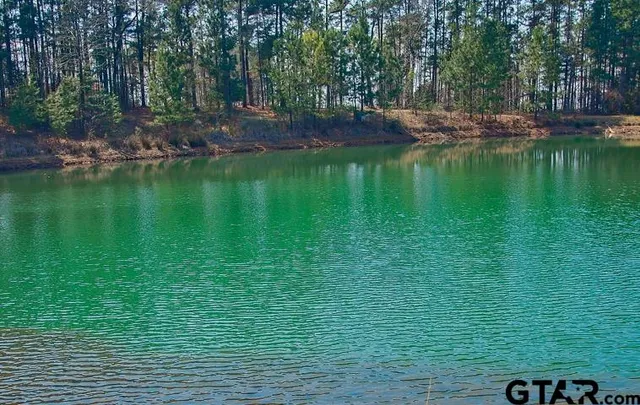 $149,000 | Lot 24 Acr 453, Montalba, TX 75853