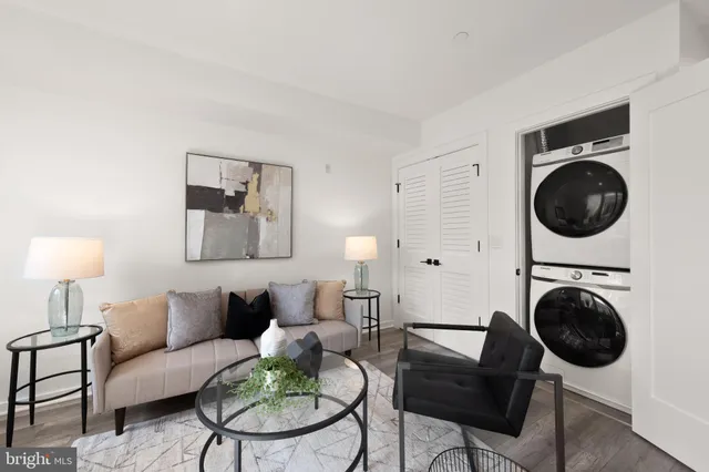 a living room with furniture or couch and a potted plant