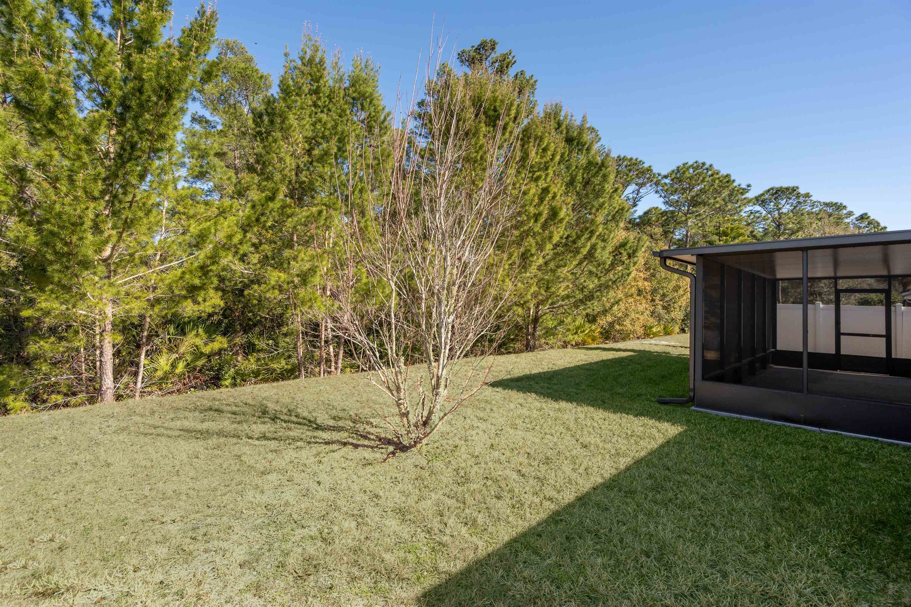 66 Sweet Mango Trail St. Augustine, FL 32086 - Photo 5 of 31