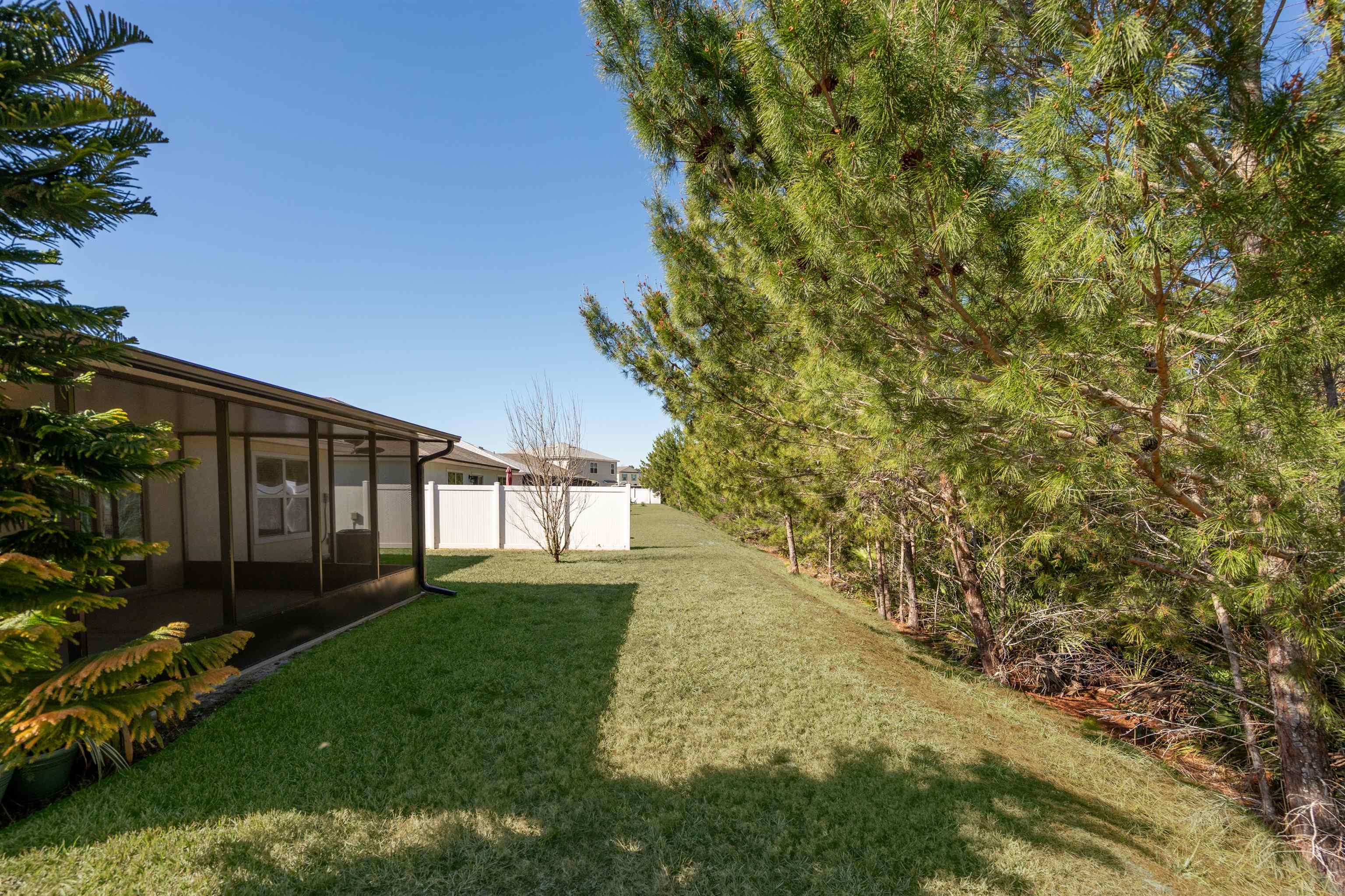 66 Sweet Mango Trail St. Augustine, FL 32086 - Photo 6 of 31