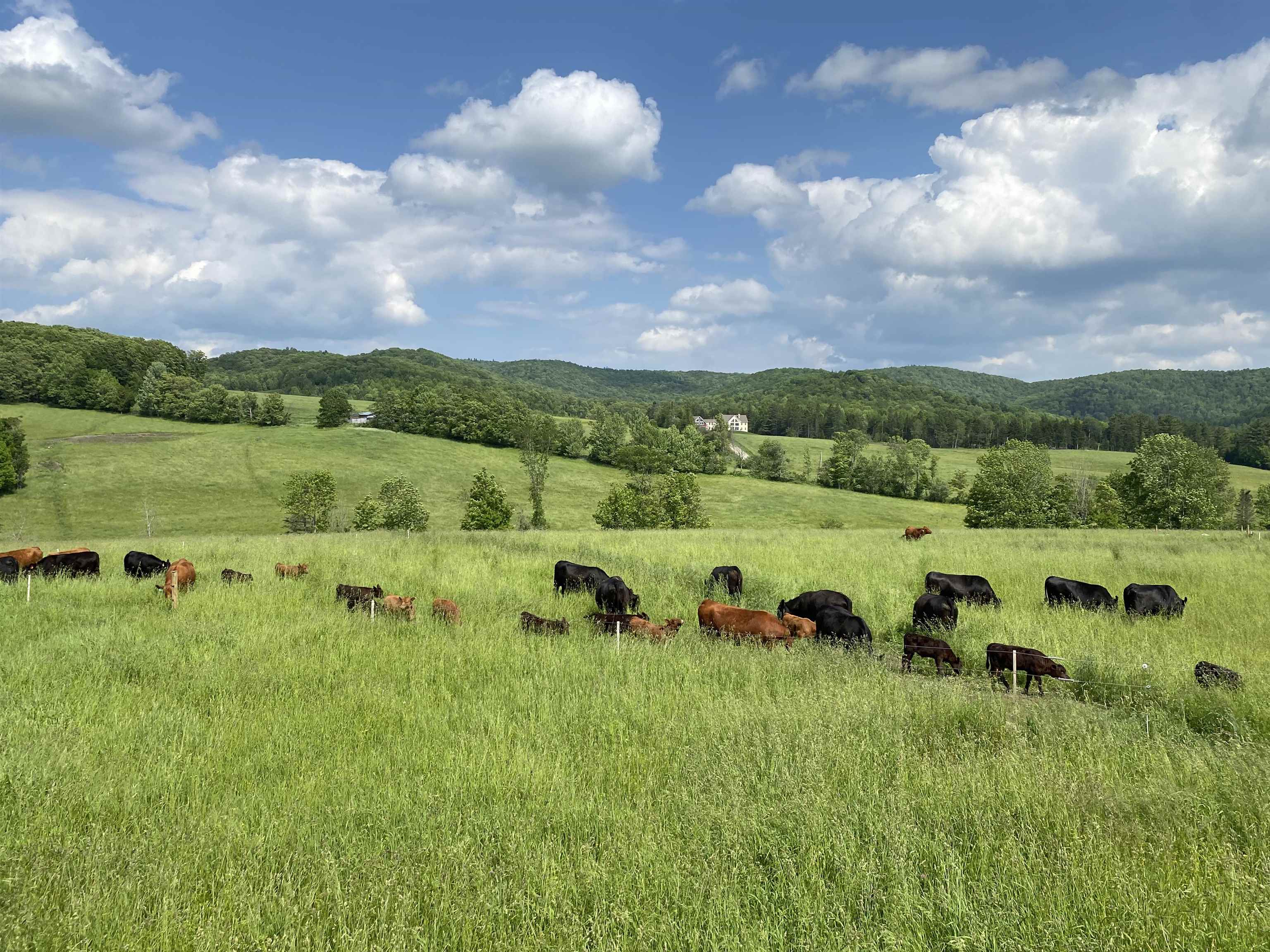 344 Morrie Road Washington, VT 05675 - Photo 12 of 59