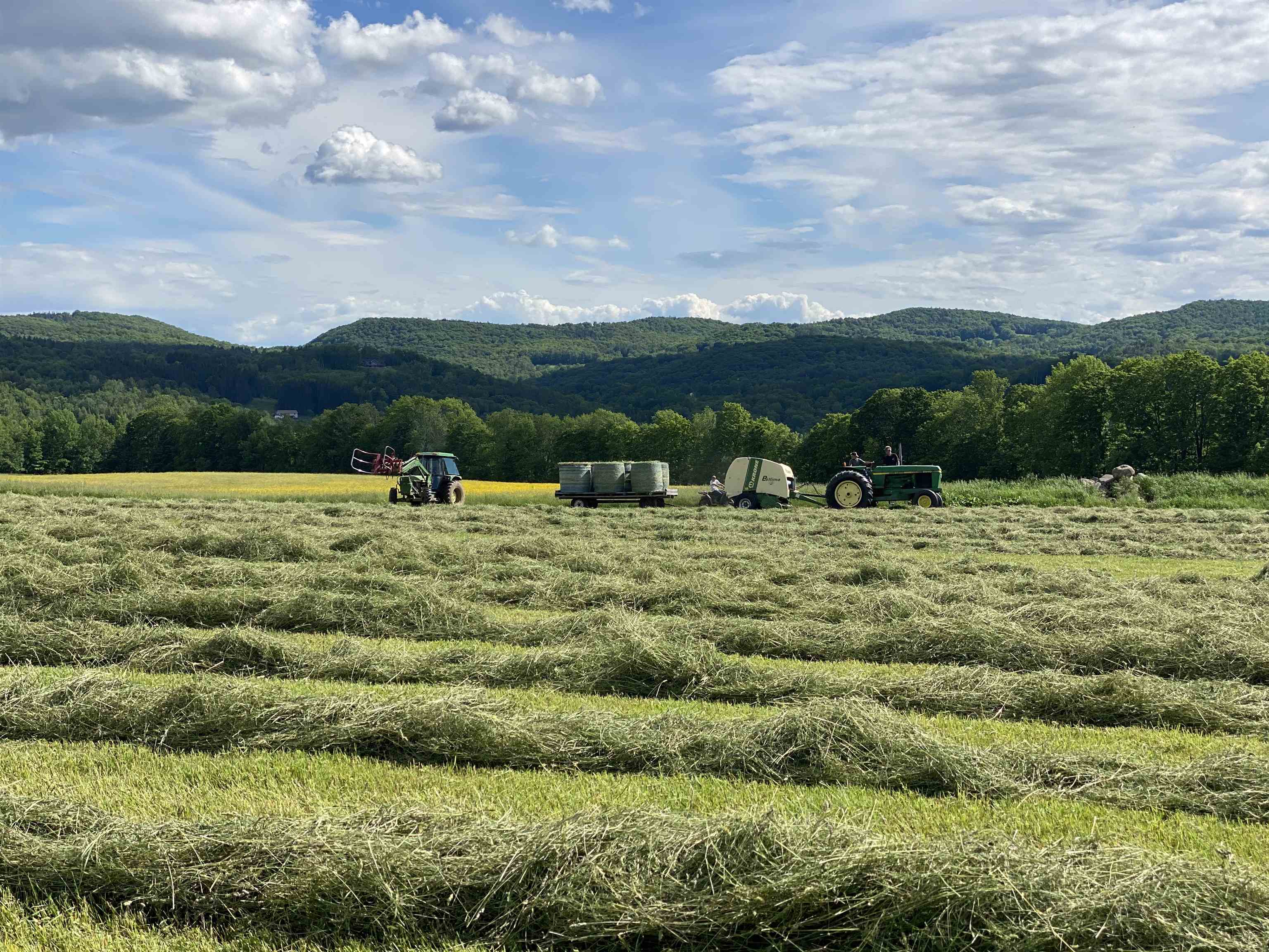 344 Morrie Road Washington, VT 05675 - Photo 47 of 59