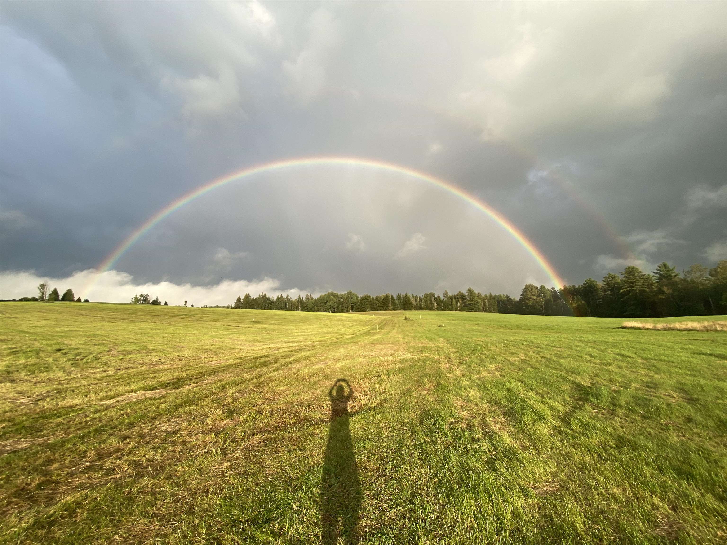 344 Morrie Road Washington, VT 05675 - Photo 59 of 60