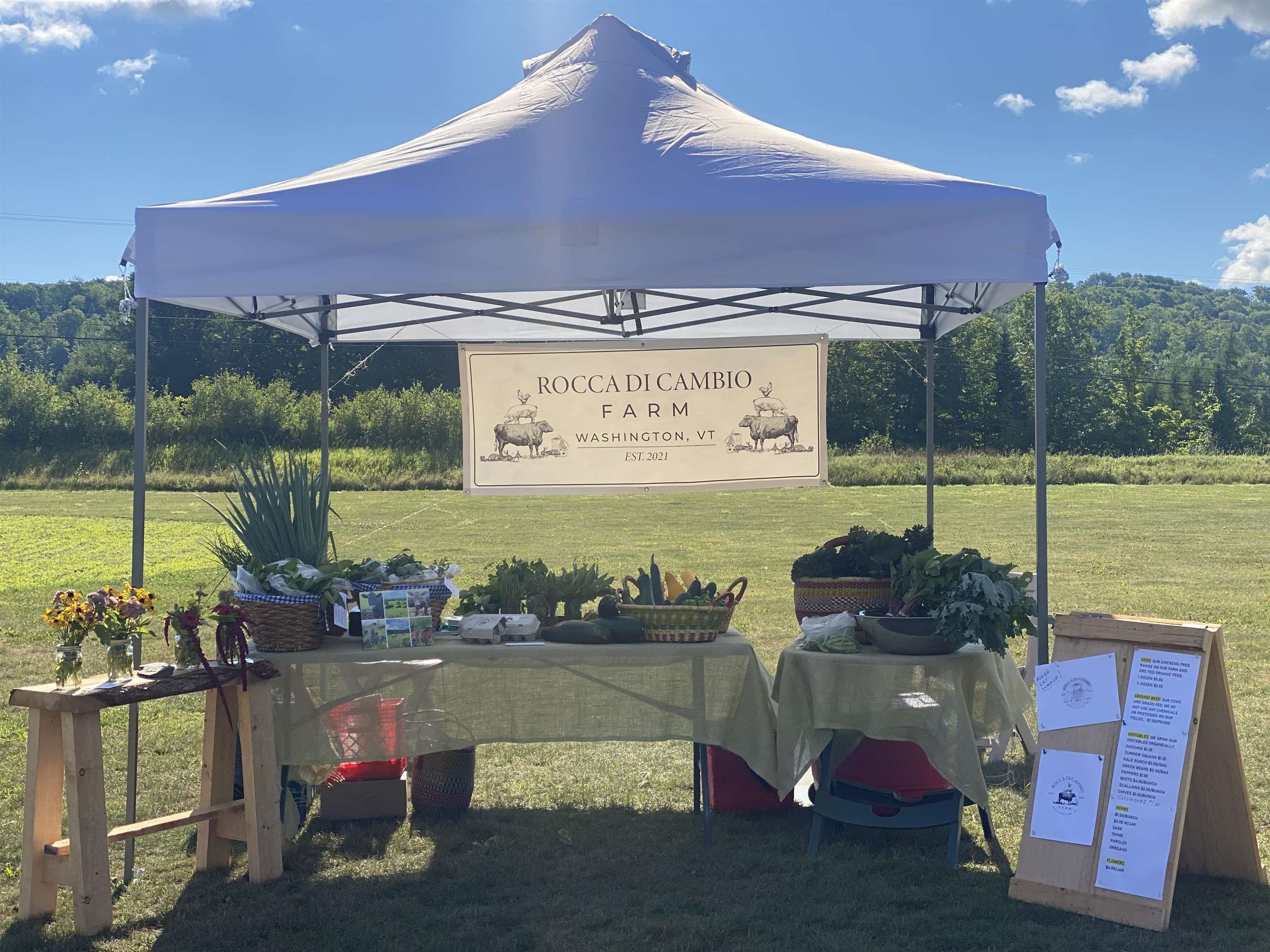 344 Morrie Road Washington, VT 05675 - Photo 9 of 60