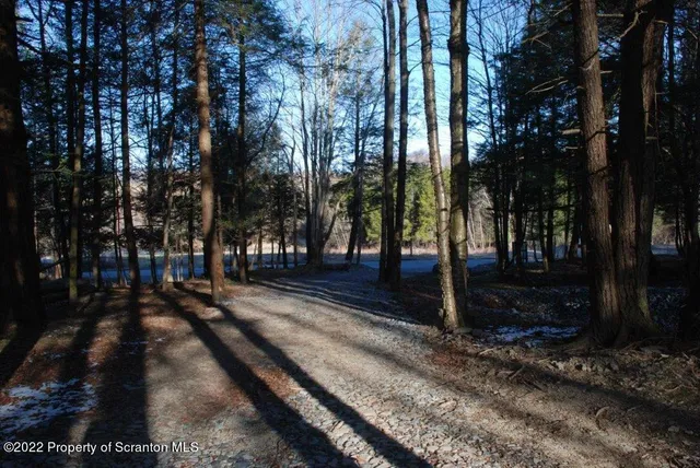 a view of a park with trees