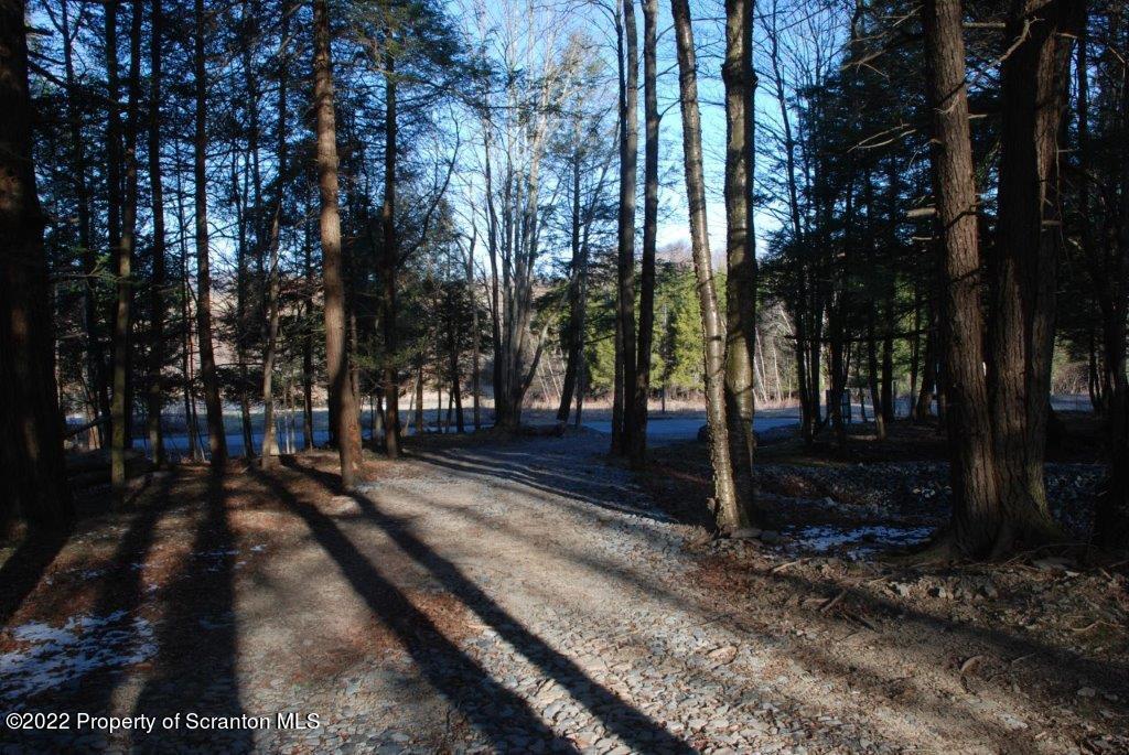Lot 7 Stark Rd Union Dale Pa Union Dale, PA 18470 - Photo 1 of 17 a view of a park with trees