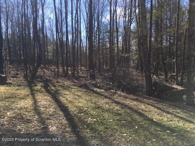 Lot 7 Stark Rd Union Dale Pa Union Dale, PA 18470 - Photo 11 of 17