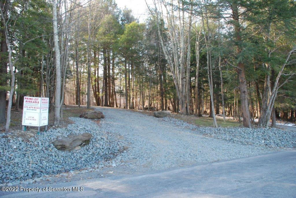 Lot 7 Stark Rd Union Dale Pa Union Dale, PA 18470 - Photo 12 of 17 a view of outdoor space and tree
