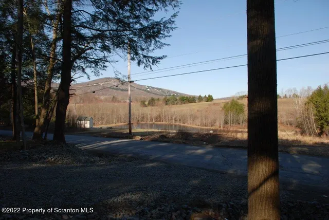 a view of swimming pool with a yard