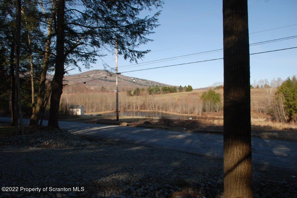 Lot 7 Stark Rd Union Dale Pa Union Dale, PA 18470 - Photo 13 of 17 a view of a street
