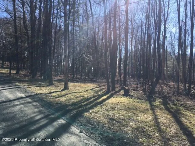 a black and white photo of a book