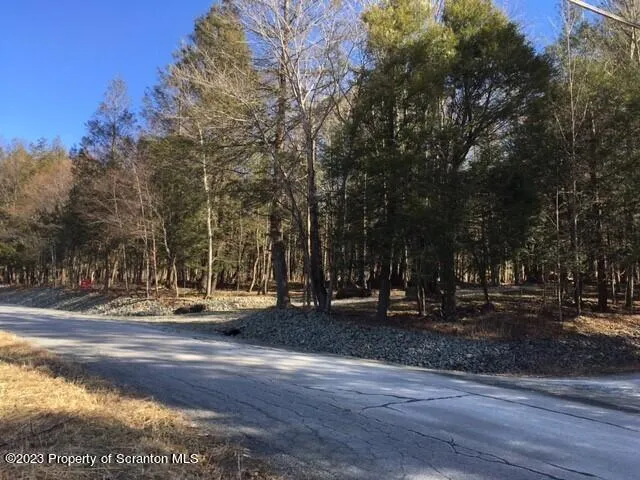 a view of a park with large trees
