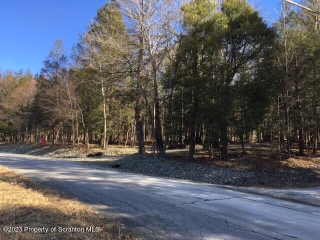 Lot 7 Stark Rd Union Dale Pa Union Dale, PA 18470 - Photo 2 of 17 a view of a park with large trees