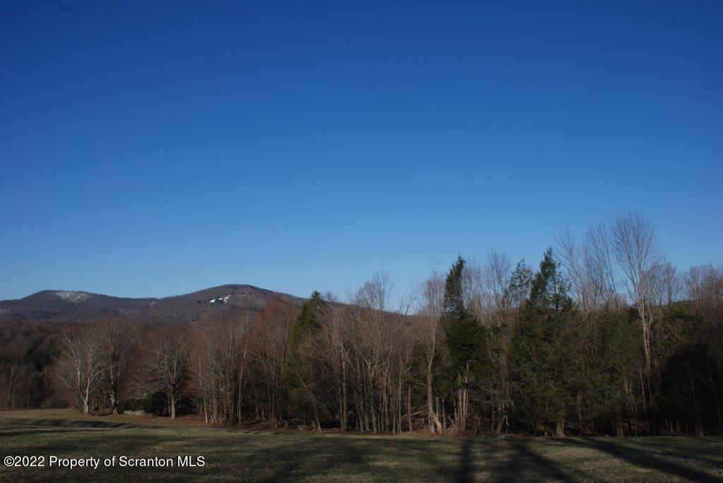 Lot 7 Stark Rd Union Dale Pa Union Dale, PA 18470 - Photo 3 of 17 a view of a town with mountains in the background