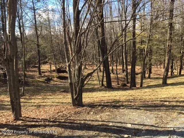 a view of a yard with trees