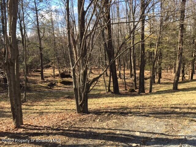 Lot 7 Stark Rd Union Dale Pa Union Dale, PA 18470 - Photo 4 of 17 a view of a yard with trees