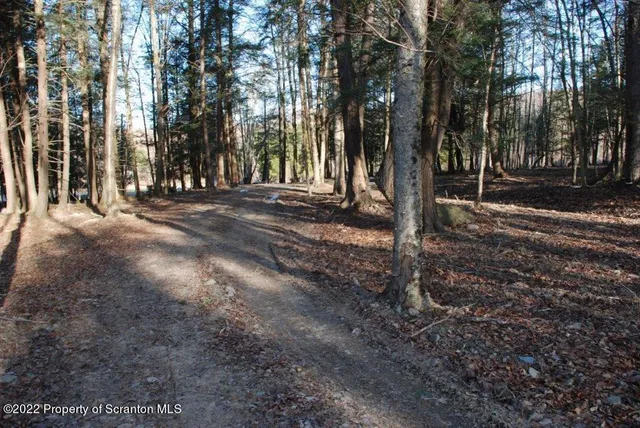 a view of outdoor space with trees