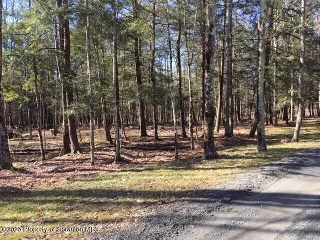 a view of a house with trees in the background