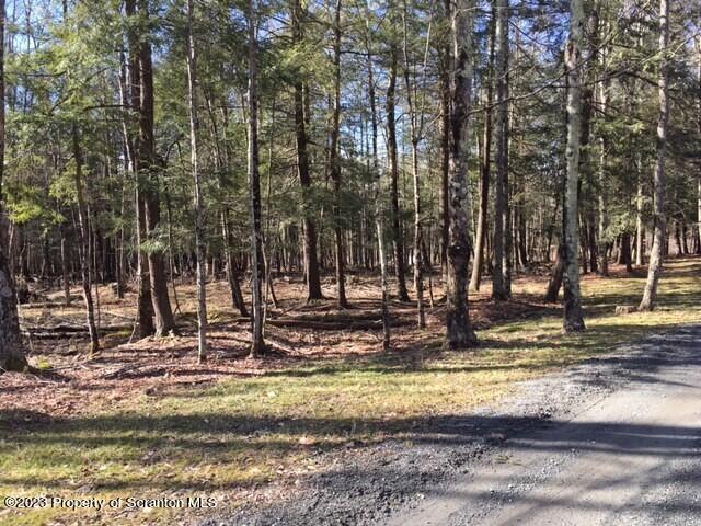 Lot 7 Stark Rd Union Dale Pa Union Dale, PA 18470 - Photo 6 of 17 a view of a house with trees in the background
