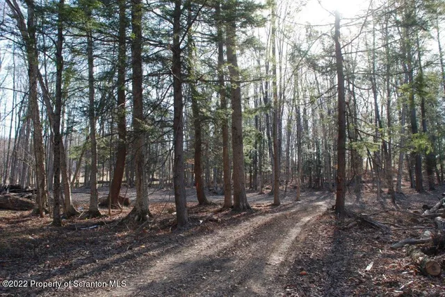 a view of outdoor space with trees