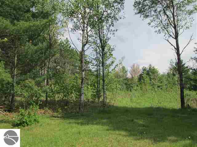 4075 Lund Road Southwest Fife Lake, MI 49633 - Photo 11 of 37 1746569-10.JPG