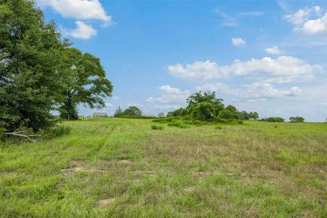 a backyard of a building with lots of green space