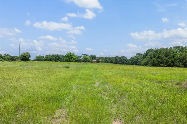 a view of a green field with sitting in the background