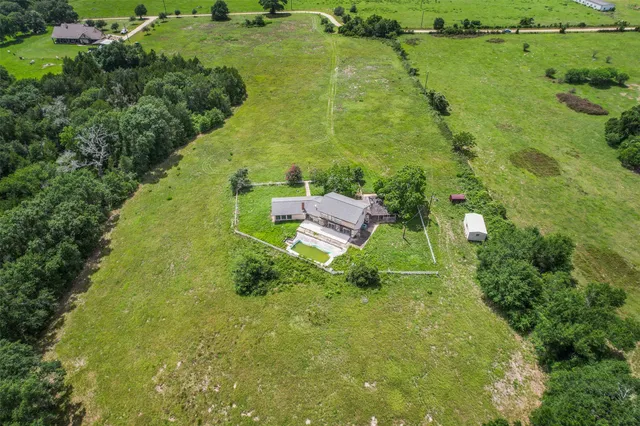 a view of a lush green forest
