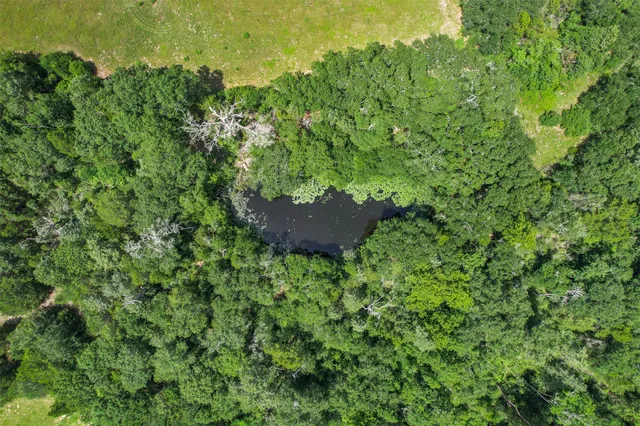 a view of a yard with a house in the background