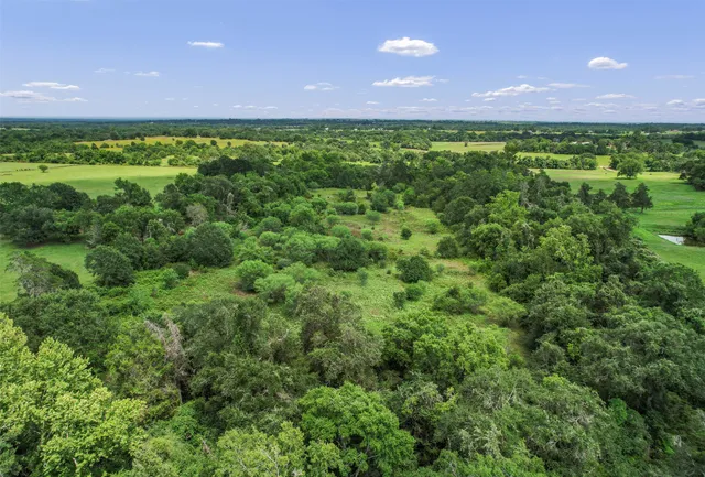 a view of a green field with lots of bushes