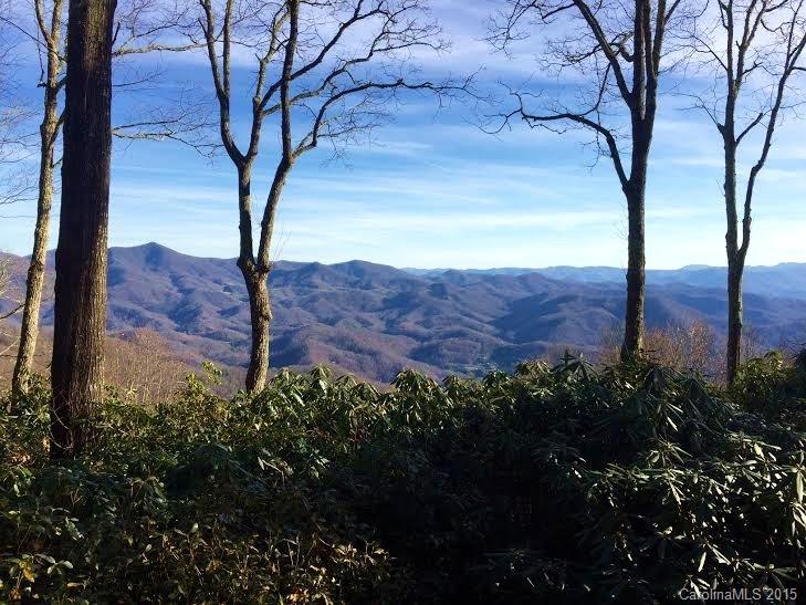 3898 Parris Branch Road Sylva, NC 28779 - Photo 4 of 24 Gallery Image 4