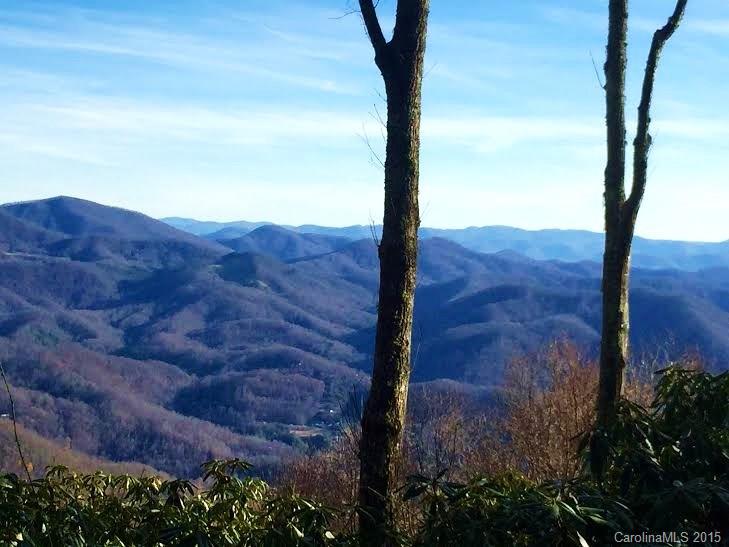 3898 Parris Branch Road Sylva, NC 28779 - Photo 10 of 24 Gallery Image 10
