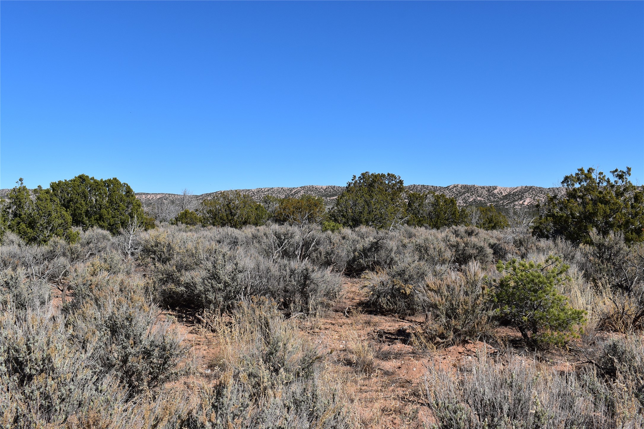 1684 A El Rito, NM 87530 - Photo 7 of 8