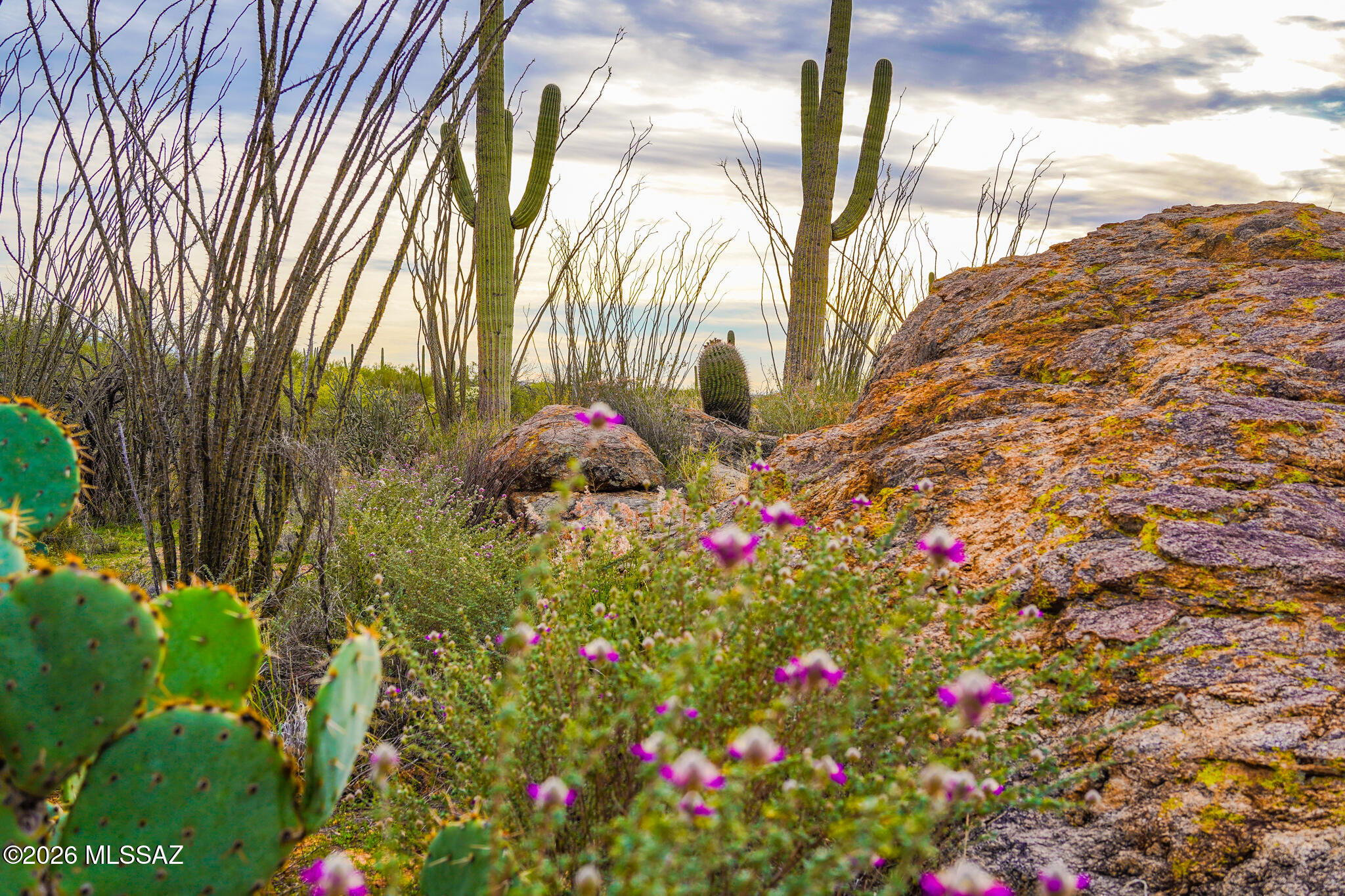 12650 East Roger Road, Unit 8 Tucson, AZ 85749 - Photo 5 of 16 Gallery Image 5