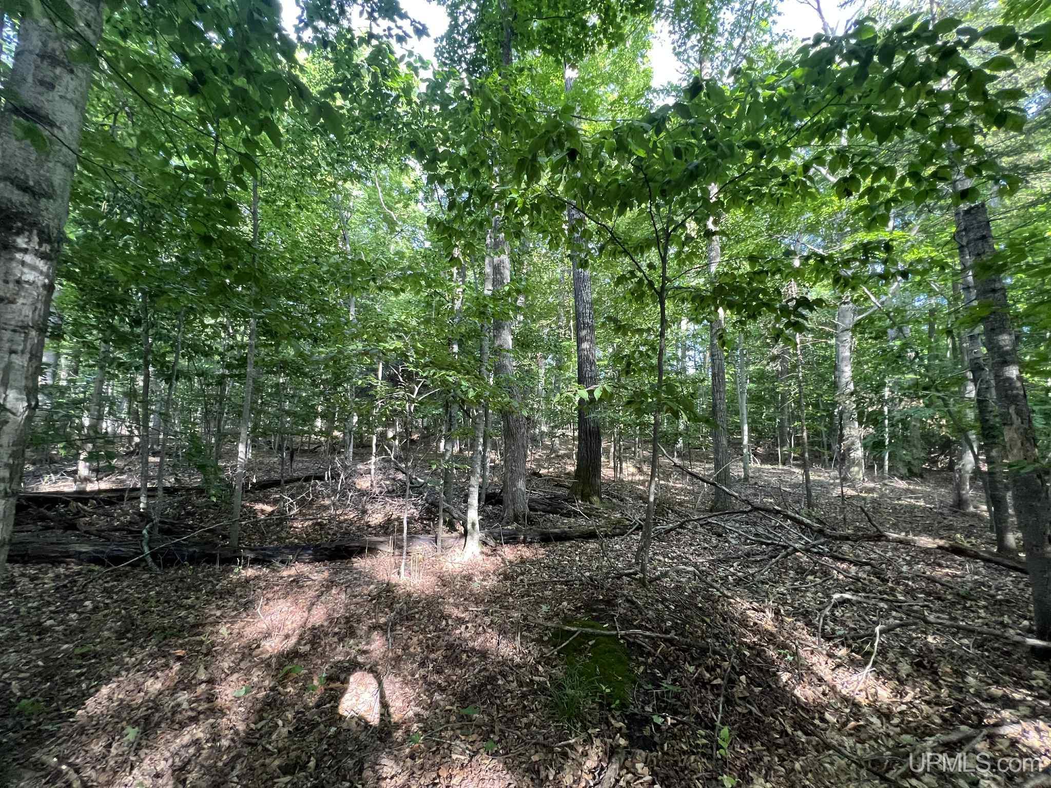 Tbd II Road Garden, MI 49835 - Photo 27 of 42
