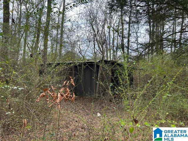 66 Shady Lane, Unit 7678 Ohatchee, AL 36271 - Photo 12 of 12