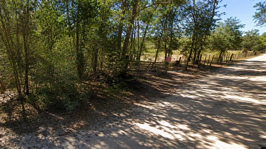 Lot 7 Dryden Street Trinity, TX 75862 - Photo 3 of 6 a view of outdoor space with trees