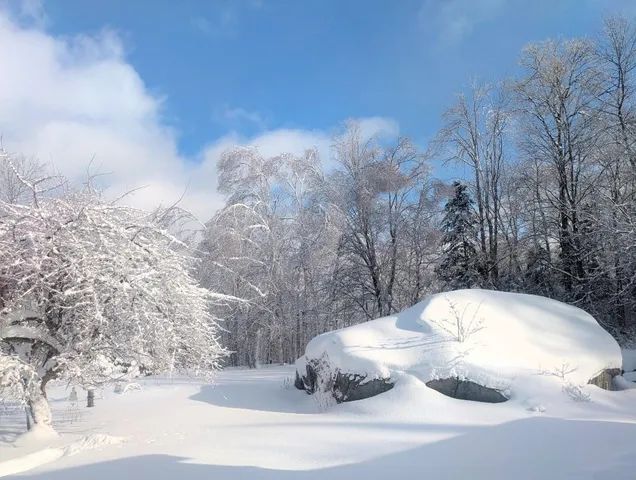 $399,000 | 1422 Cabot Road, Woodbury, VT 05681