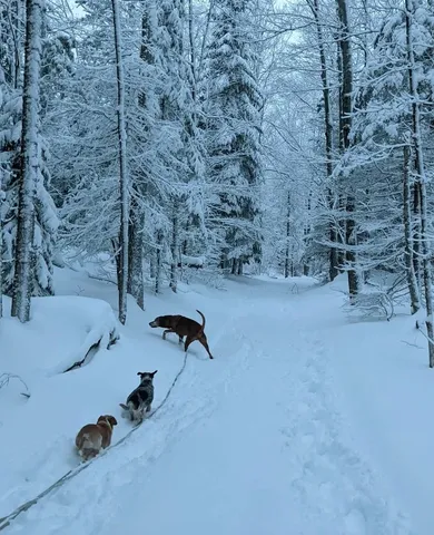 $399,000 | 1422 Cabot Road, Woodbury, VT 05681