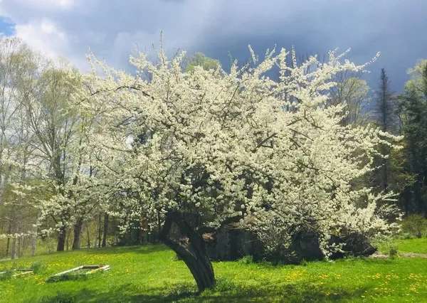 $389,000 | 1422 Cabot Road, Woodbury, VT 05681