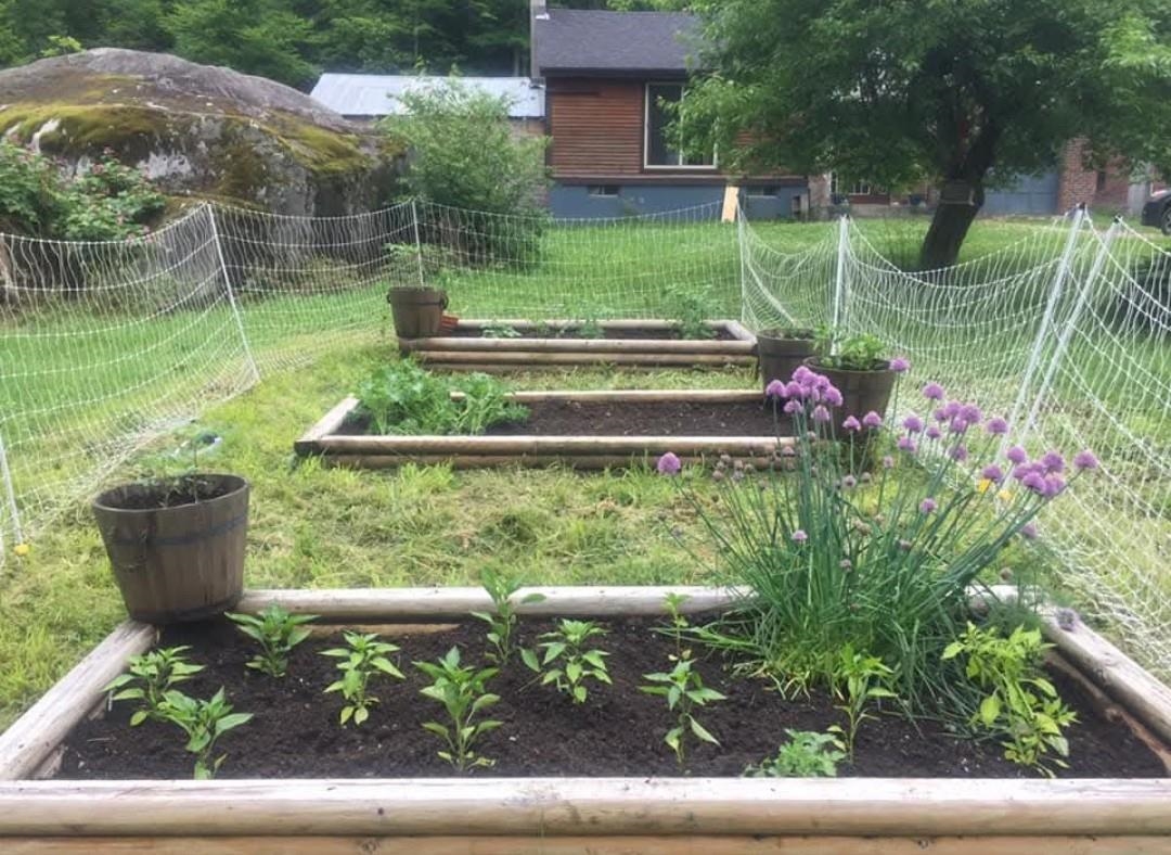 1422 Cabot Road Woodbury, VT 05681 - Photo 29 of 47