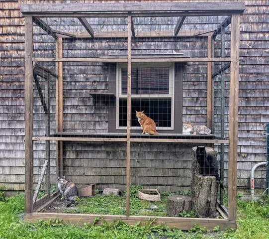 $399,000 | 1422 Cabot Road, Woodbury, VT 05681